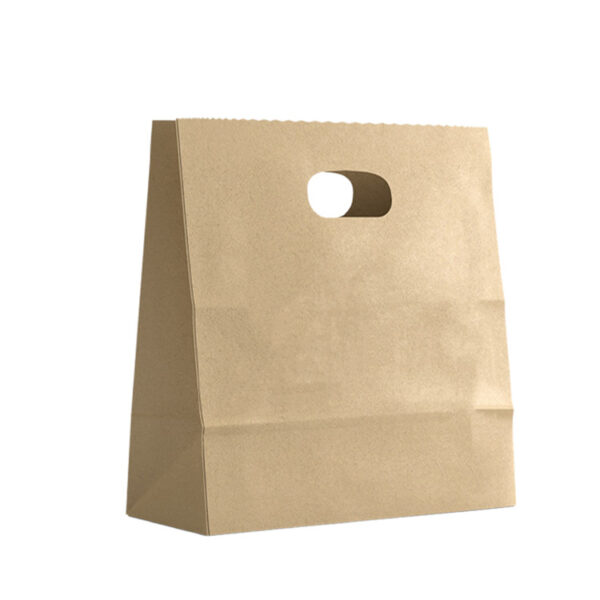 بگ کاغذی مدل pb_08