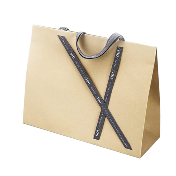 بگ کاغذی مدل pb_09