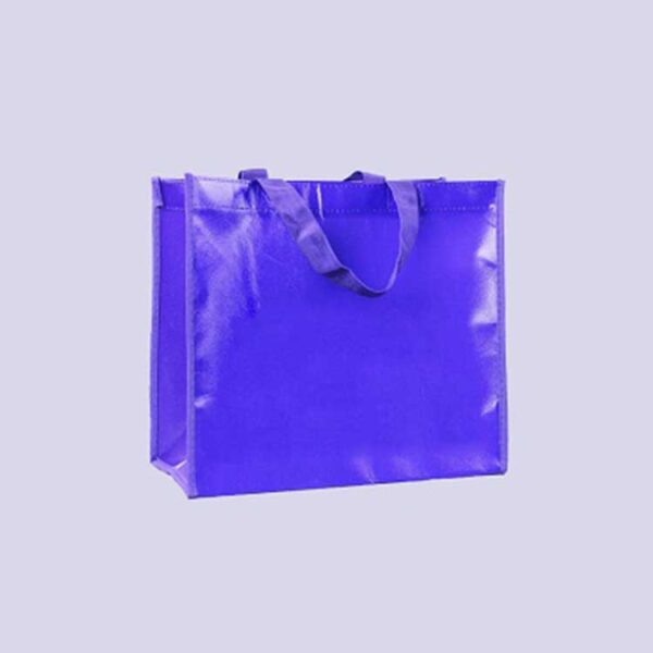 ساک دستی برزنتی ضد آب مدل wch_03