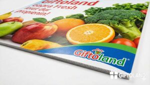 چاپ کارتن پلاست